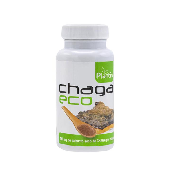 Chaga eco plantis